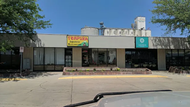 Tempura | Japanese Restaurant