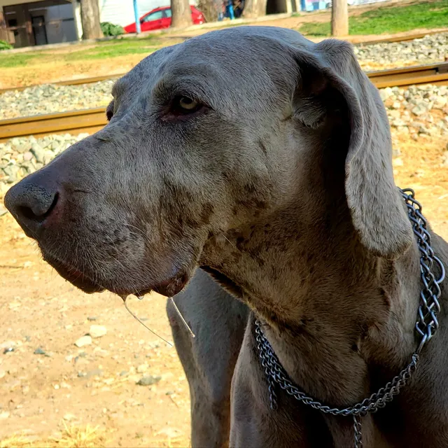 Paseo Daniel Riolobos Sports Park