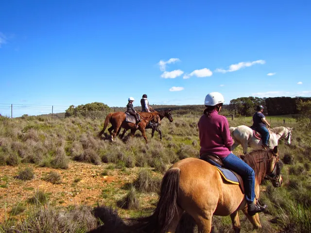 Burnelee Excursions On Horseback