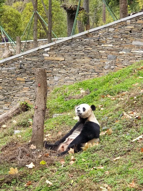 Wolong National Nature Reserve