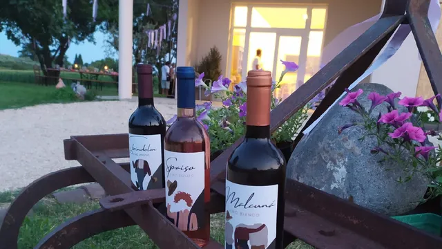 Azienda agricola Pergola d'oro del Garda