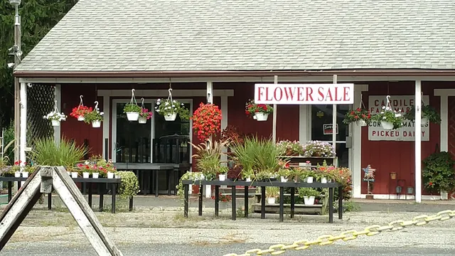 Cardile's Flower and Produce Mkt