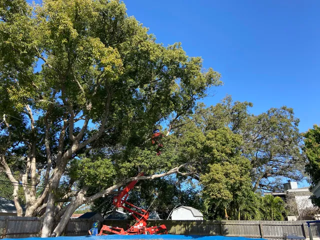 Happy's Tree Service