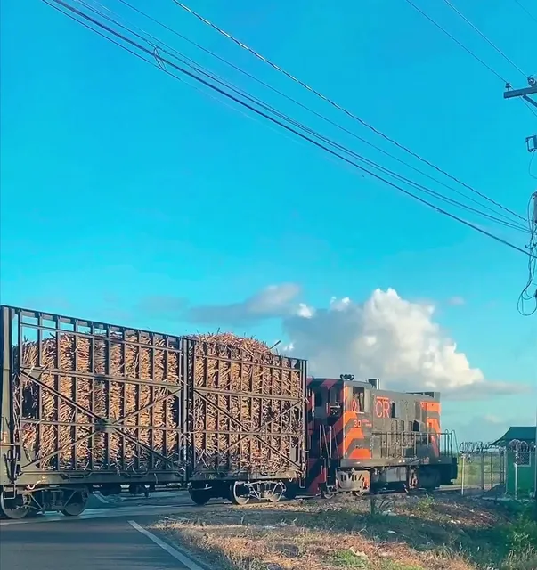 Ocean View La Romana