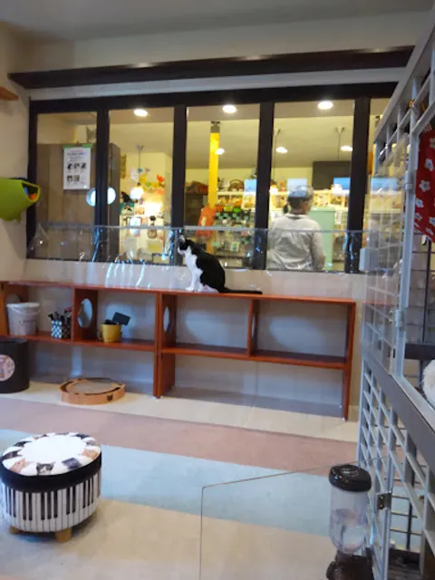 Cat Cafe MOCA