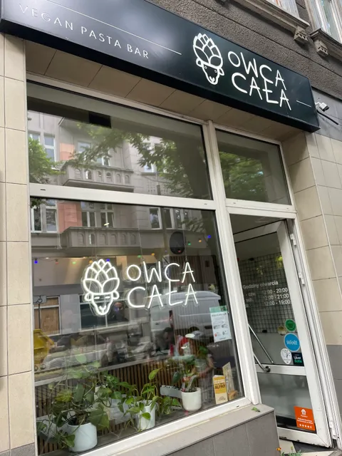 Owca Cała