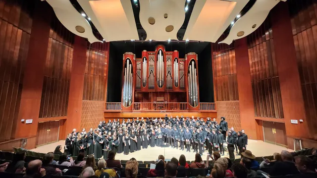 Meadows School of the Arts