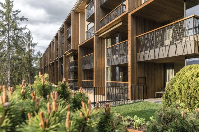 My Arbor - Dolomites