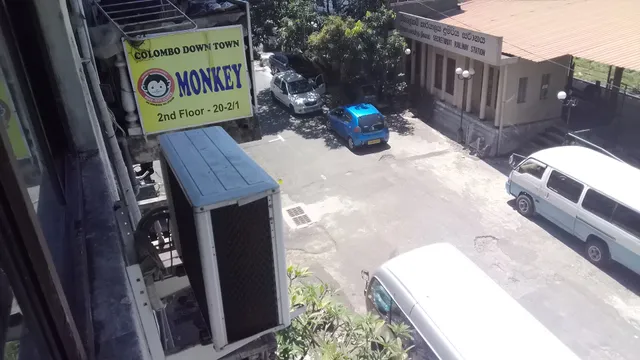 Colombo Downtown Monkey