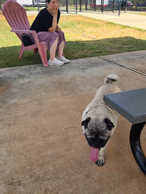 Sprayberry Rd Dog park