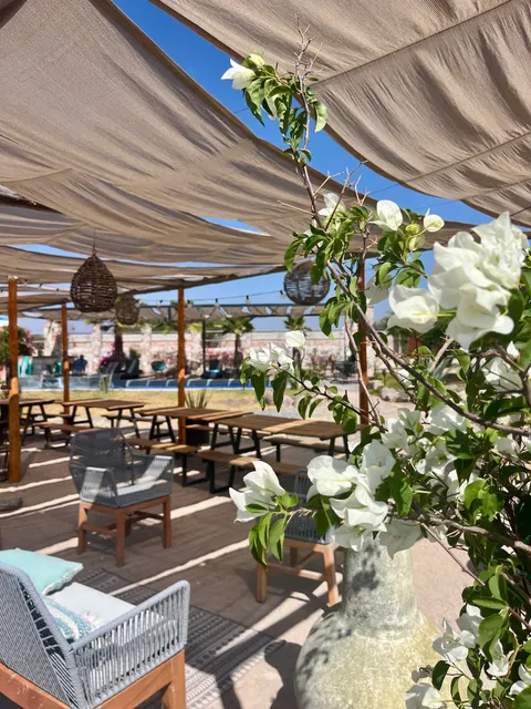 El Pavo Real del Campo