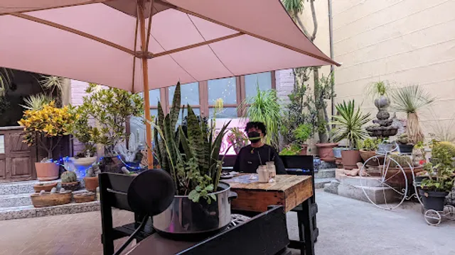 Las Locas Malteadas de Carranza