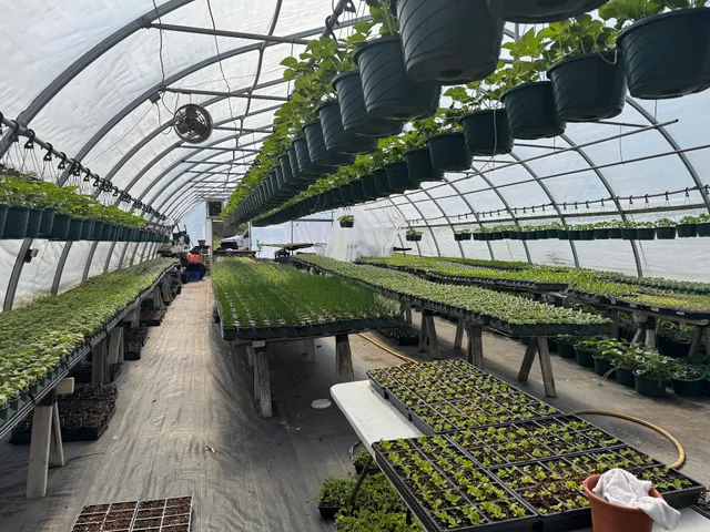 The Butcher's Garden