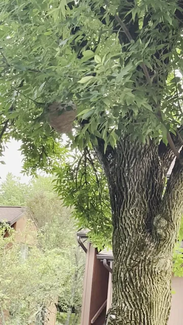 MS Comprehensive Care Center at Holy Name Medical Center