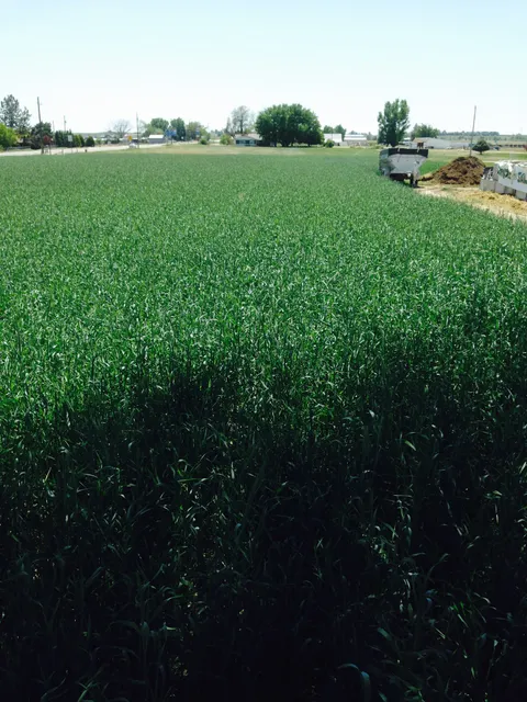 Hamanishi Farms Inc.