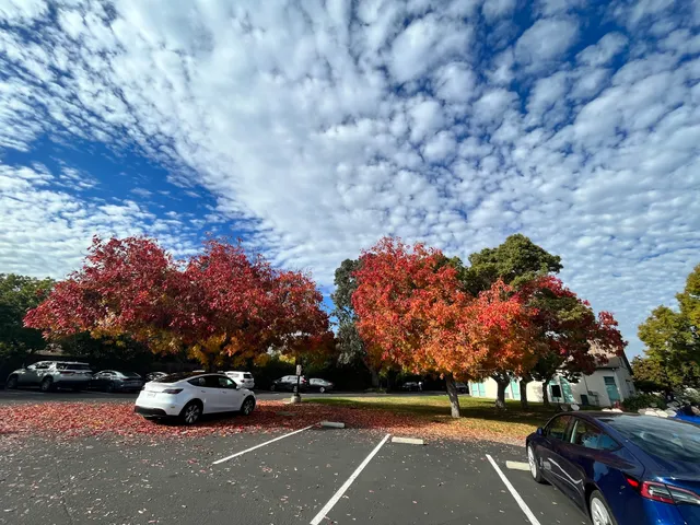 Saratoga Prospect Center