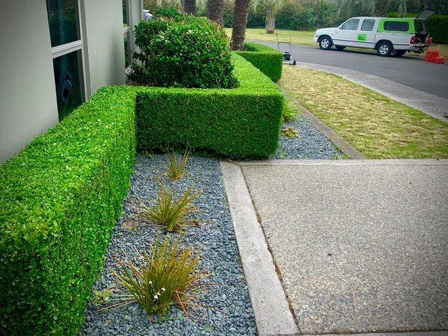 Superb Handyman & Garden Maintenance Work