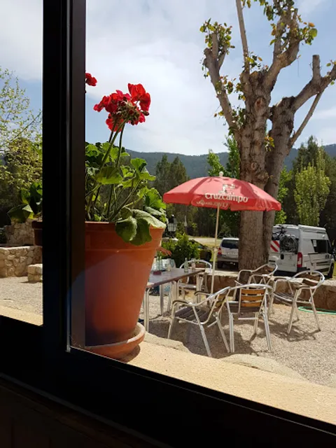 Restaurante El Taxidermista