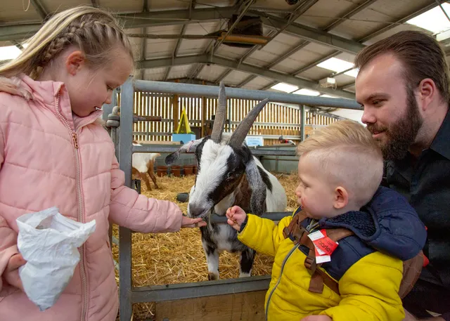 Barleylands Farm Park
