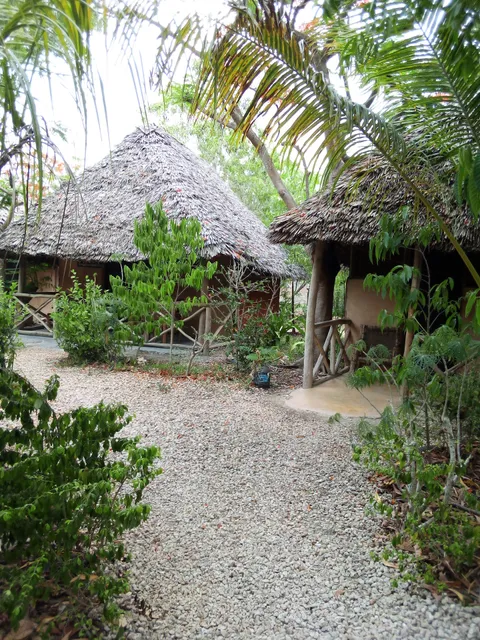 Kipepeo Shadrack Nungwi backpackers ( Zanzibar