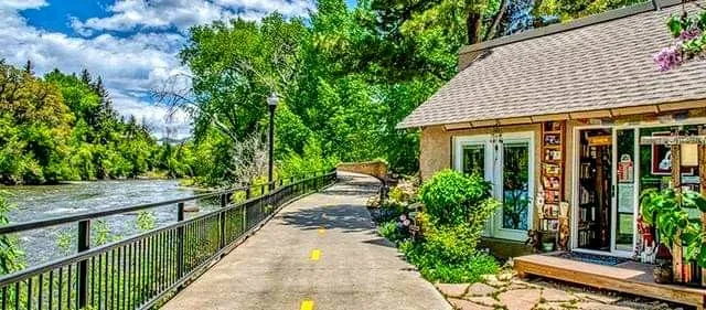 White Rabbit Books & Curiosities