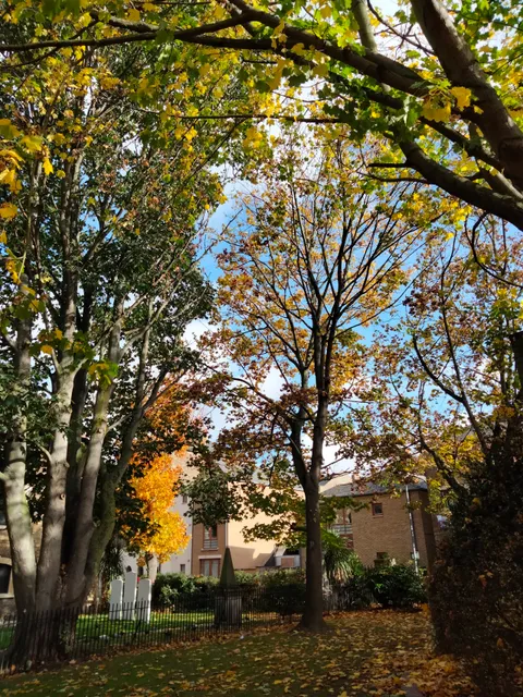 photo-3