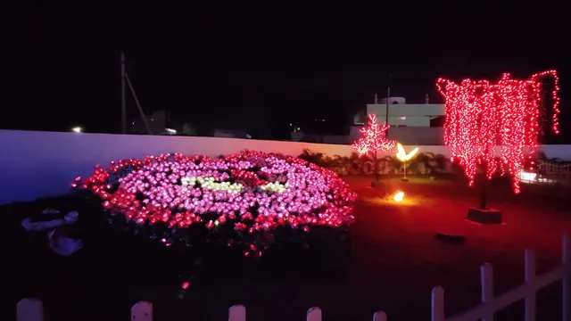 Siddipet Night Garden