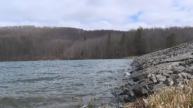 Mount Pleasant Township