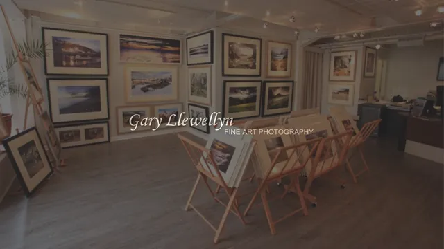 Llewellyn's Gallery