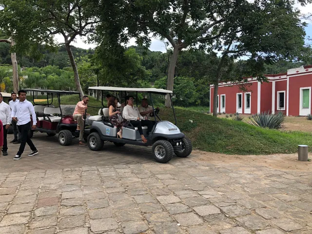 sayulita suburban services