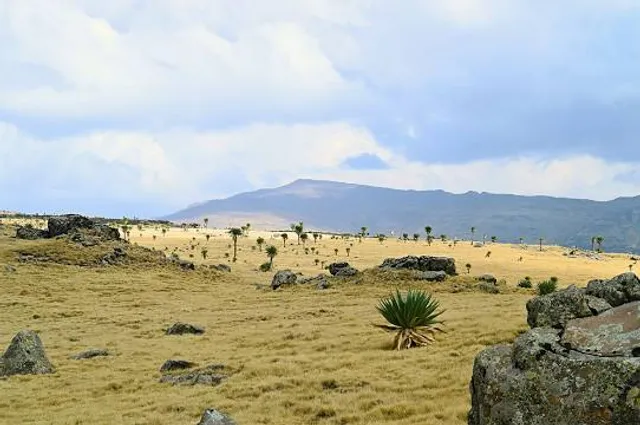 place image