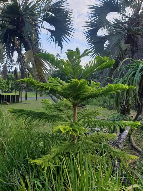 Skyline Nature Reserve