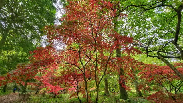 Queenswood Country Park The Gruffalo Trail