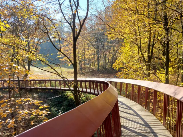 Tardosi lombkorona tanösvény