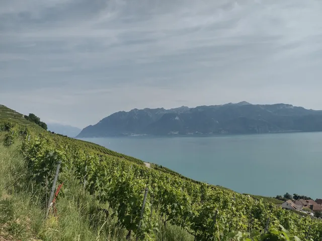 Wine And Ride Lavaux