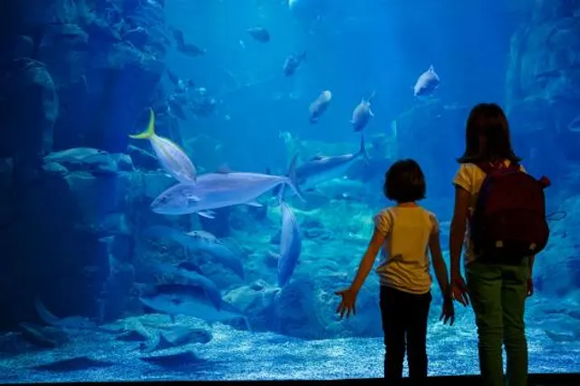 St. Louis Aquarium at Union Station