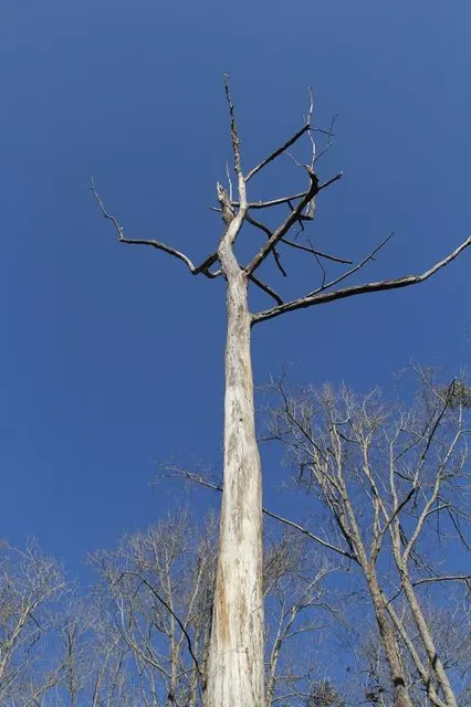 Skypark epia Kletterwald