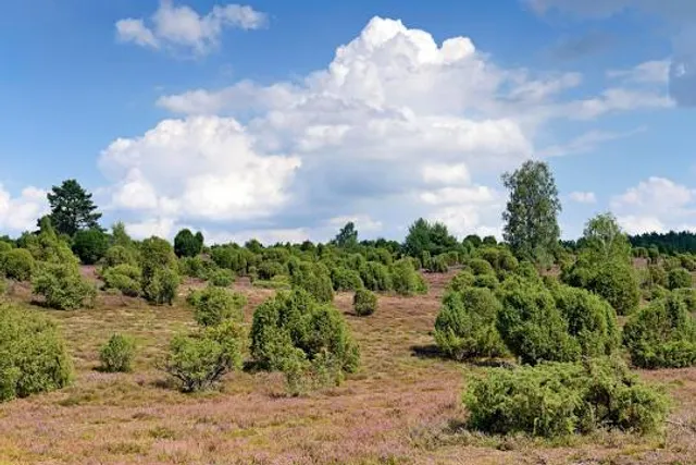 The Südheide Nature Park