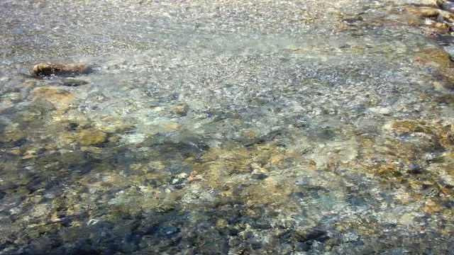 photo-3