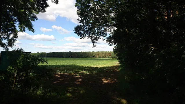 photo-1