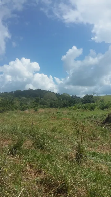 Forestal Canglón Reserve