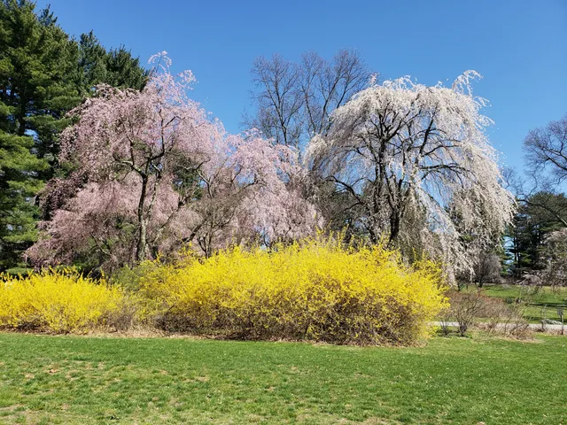 Hart’s Brook Park and Preserve