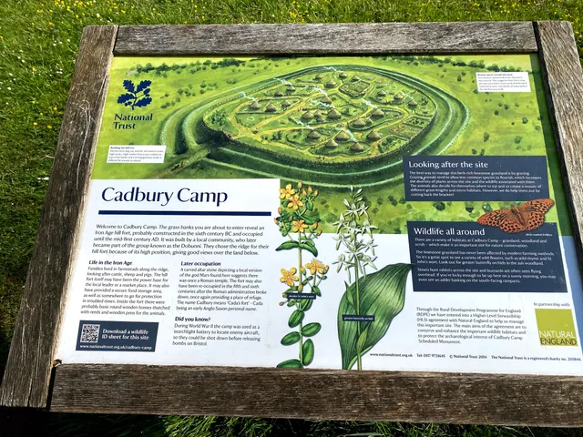 National Trust - Cadbury Camp