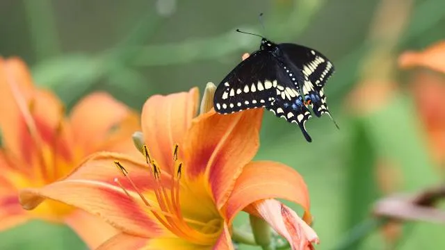 Eco reserva Mbatoví