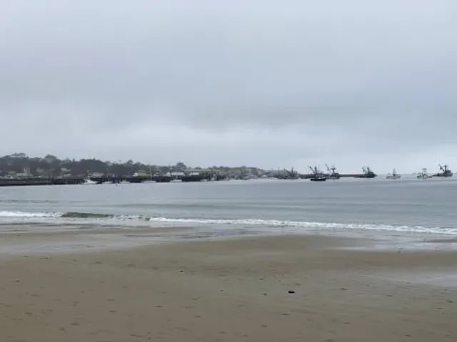 Monterey State Beach