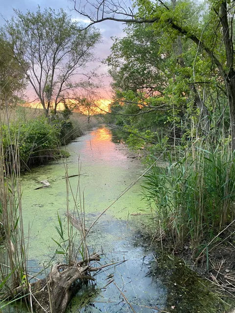 Saginaw River Headwaters Rec Area