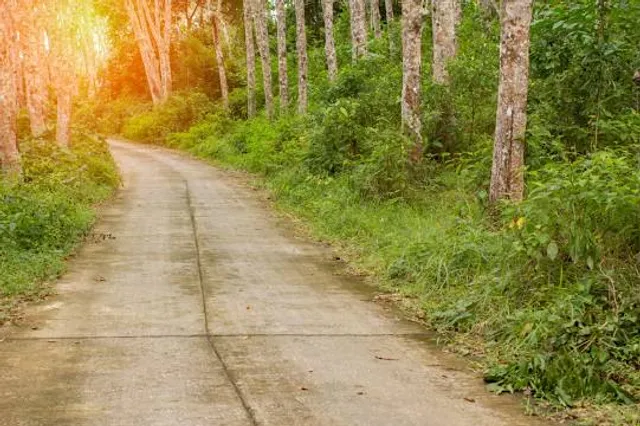Vagevuurbos and Lips-Bulskampveld