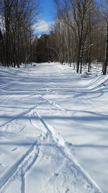 Lakewood Cross Country Ski Trail