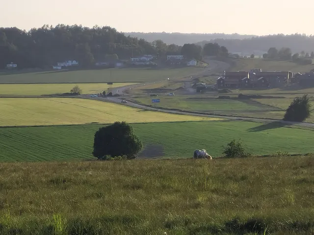 Naturreservat Fjärås Bräcka