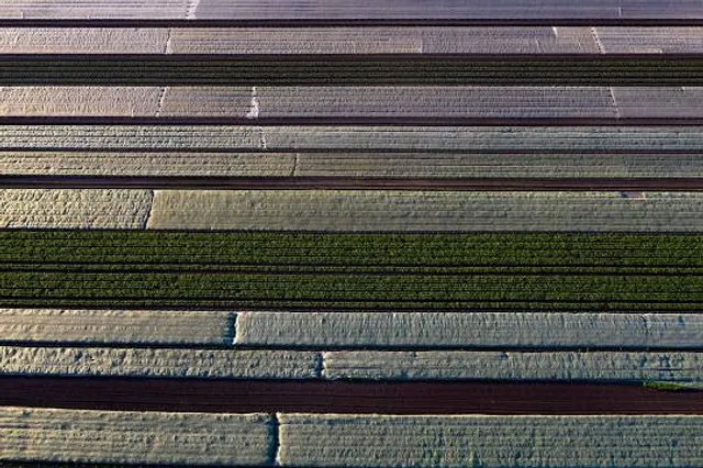 Jasenovac Memorial Site